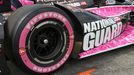 IndyCar: Pippa Mannová 2013