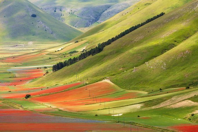 Rozkvetlá letní pole v okolí italské vesnice Castelluccio di Norcia