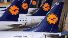 Aircraft of German airline Lufthansa are parked on the apron at Fraport airport in Frankfurt