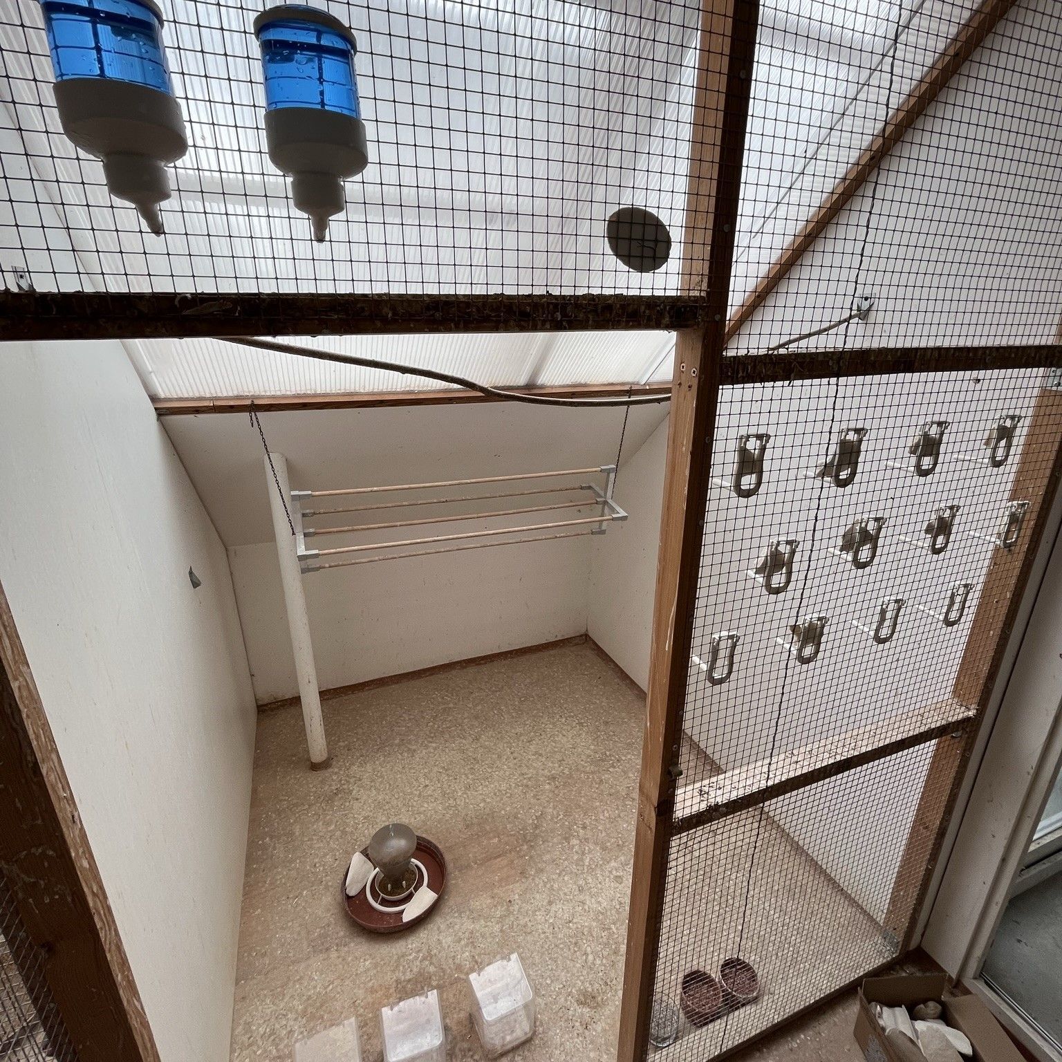 Tomáš Strachota, ptáci, ptactvo, papoušek, papoušci, chovatel, pták