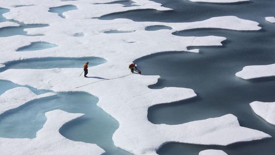 Foto: Nejlepší fotografie Reuters roku 2012