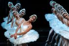Labutí jezero. Baletky ze souboru Ballet Nacional de Cuba.