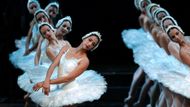 Labutí jezero. Baletky ze souboru Ballet Nacional de Cuba.