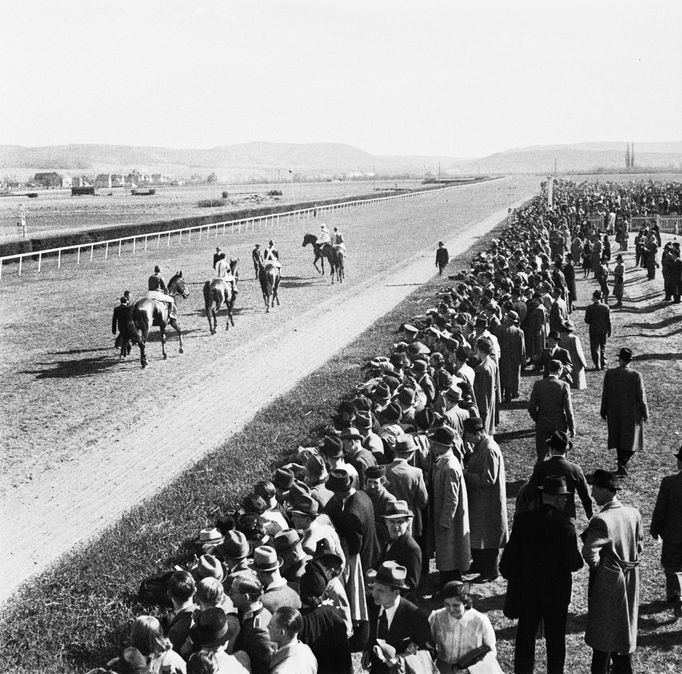 Záběr z dostihů ve Velké Chuchli. Rok 1940