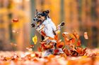 Diana Jill Mehnerová (Německo): Šíleně miluju podzim! Čestné uznání.