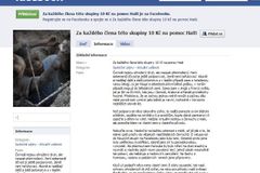 Facebook 'Help for Haiti' group turns into racist scam