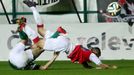 SL, Bohemians-Slavia