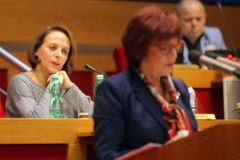Krnáčová prosadila rozpočet. Na provoz města ale dostane o tři čtvrtě miliardy méně, než chtěla