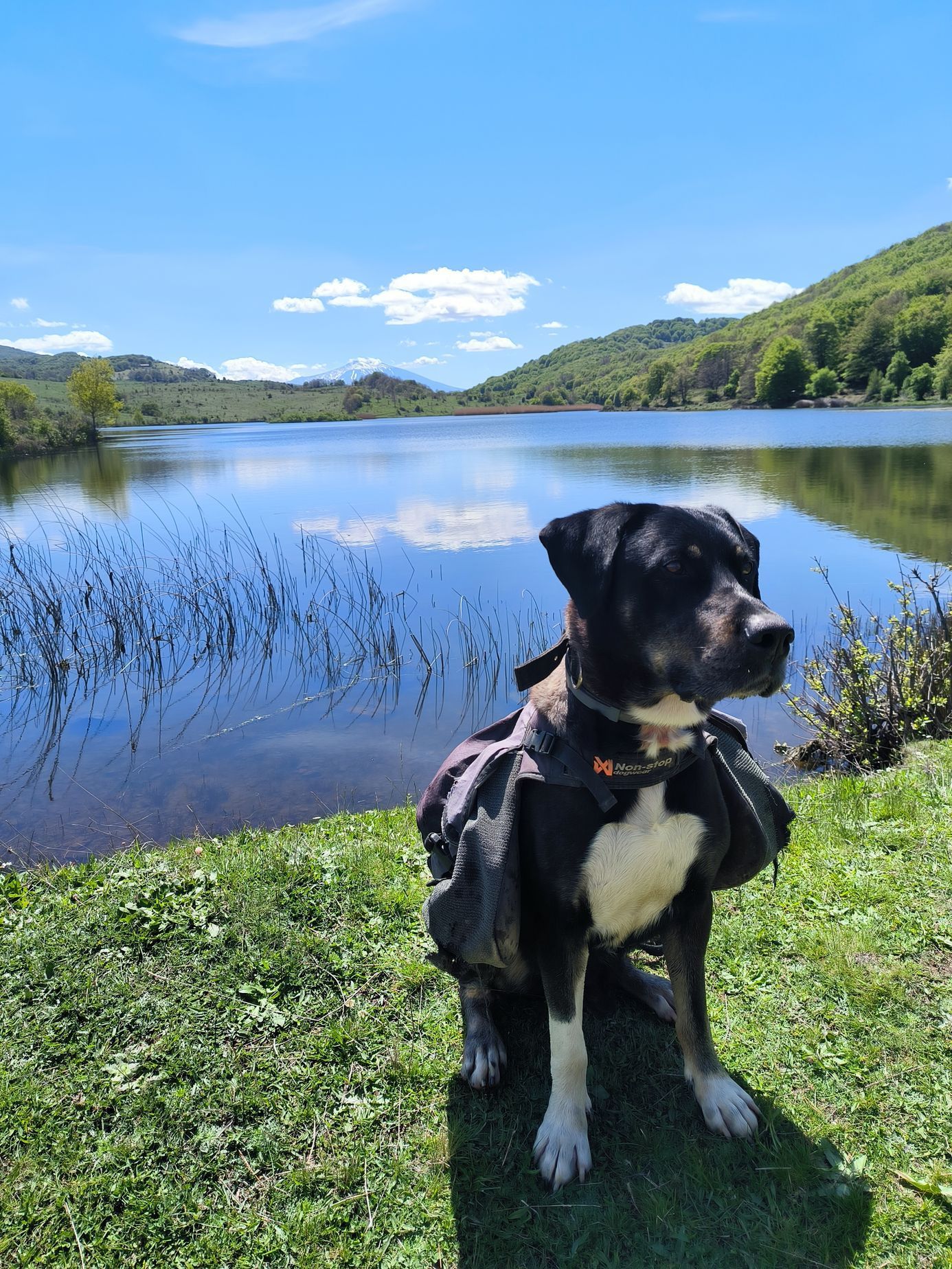 nomád, cestování, cestovatel, výprava, toulky, cesta