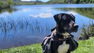 "Cestování s mým psem Obi-Wanem mi dává pocit bezpečí," popisuje a dodává: "Je to přítel, bratr, terapeut. Všude, kam jdu, jde se mnou. Nese si svůj batoh s granulemi, já nesu zbytek. A když je vedro, zpomalíme. On má přednost."