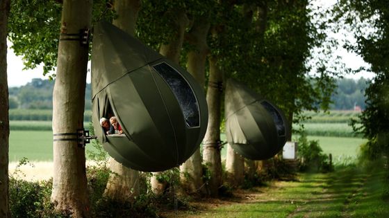 Stan v korunách stromů, Borgloon, Belgie