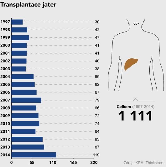 grafika - IKEM - transplantace