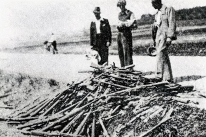 Hromada zbraní odzbrojených jednotek SS u strakonické silnice procházející Milínem nedaleko Slivice po skončení bojů. 12. květen 1945.