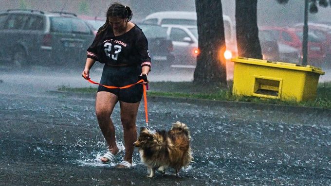 Dívka se psem v prudkém dešti přechází zaplavenou silnici ve Zbýšově u Brna (12. července 2024).