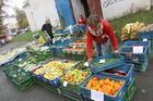 Zelenina z EU znovu může do Ruska. Moskva zrušila zákaz