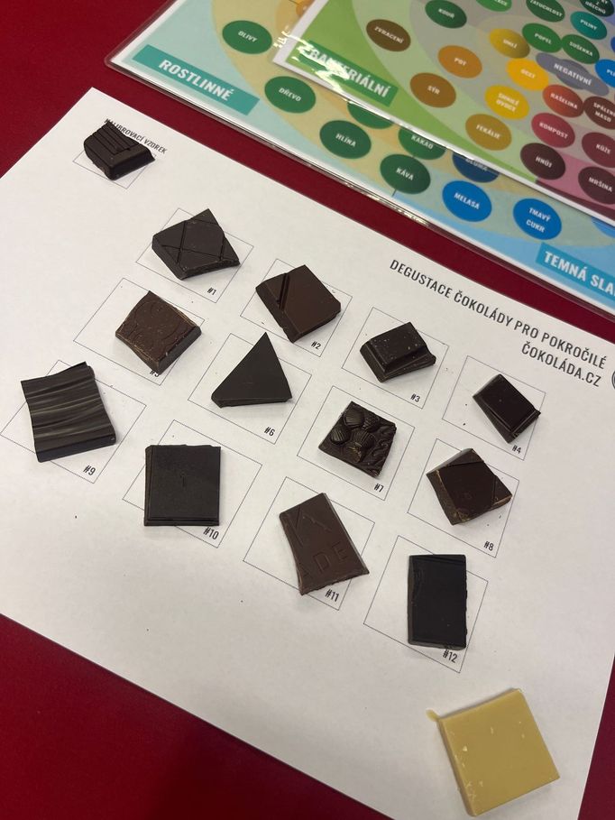 Jednotlivé vzorky ukazují, že čokoláda rozhodně nemusí být jen tmavě hnědá.