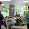 Si Ťin-pching a Angela Merkelová