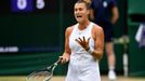 Karolína Plíšková, Aryna Sabalenková, semifinále Wimbledonu 2021