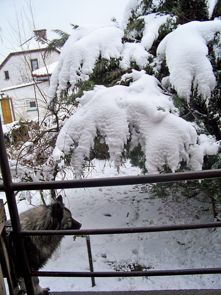 Sníh - 19. března