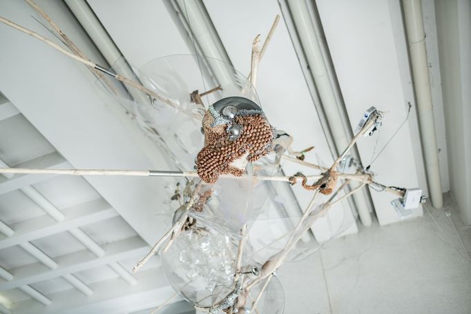 Buňka od Jakuba Nepraše v pražském Veletržním paláci.