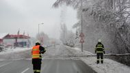 Výpadovku z Hradce Králové zablokoval spadlý strom.