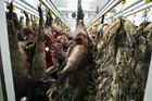 Produkce masa v Česku vloni klesla, ceny se zvýšily