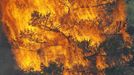 A tree erupts into flames in the Waldo Canyon fire west of Colorado Springs, Colorado June 26, 2012. A fast-growing wildfire in Colorado forced 11,000 people from their homes at least briefly and threatened popular summer camping grounds beneath Pikes Peak, whose vistas helped inspire the patriotic tune "America the Beautiful." REUTERS/Rick Wilking (UNITED STATES - Tags: DISASTER ENVIRONMENT) Published: Čer. 26, 2012, 9:55 odp.