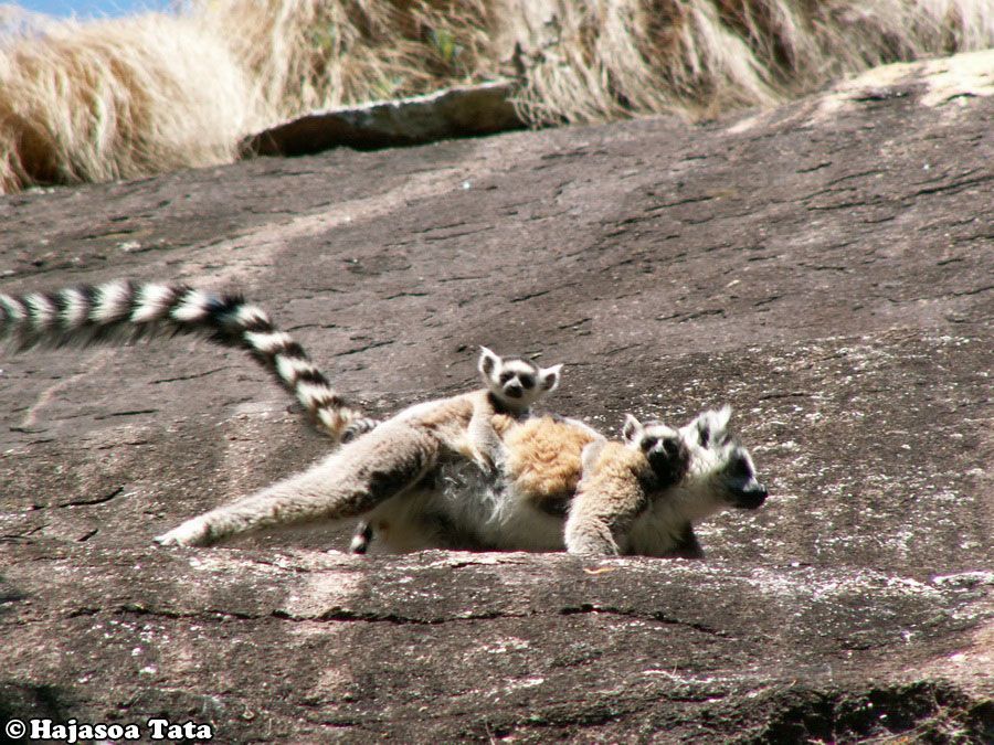 Hajasoa Tata - přednáška