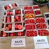 Farma Pech