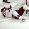 Play off NHL: Rostislav Klesla (Phoenix, zranění)