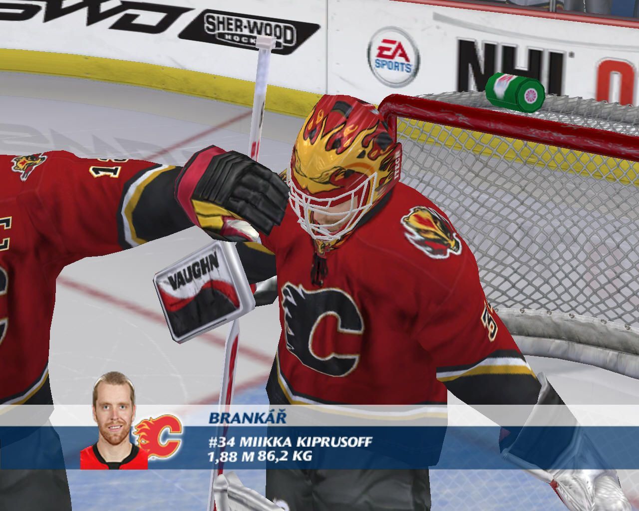 NHL 07