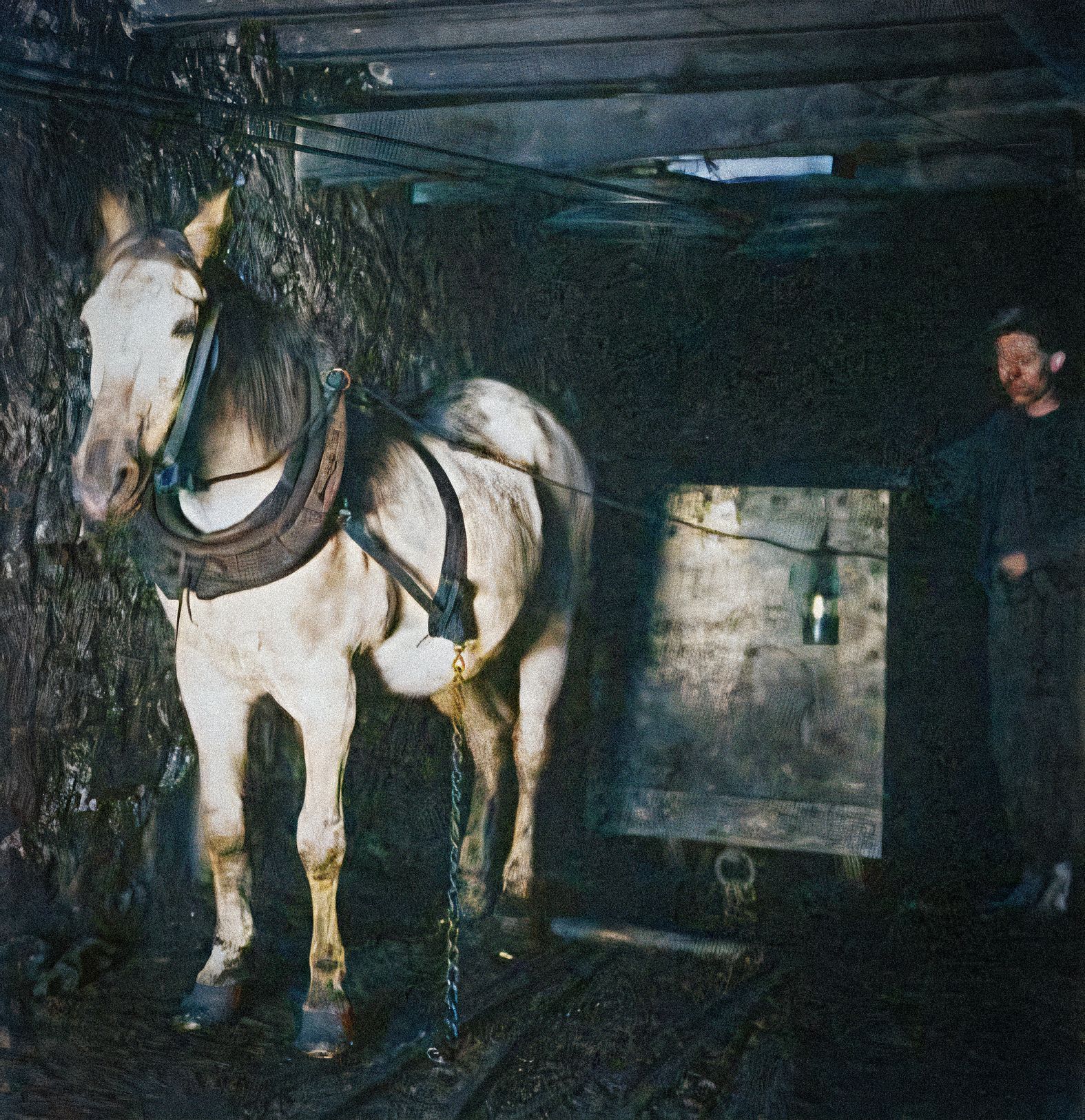 Ostrava, 100 let, obarvené fotografie, Domácí