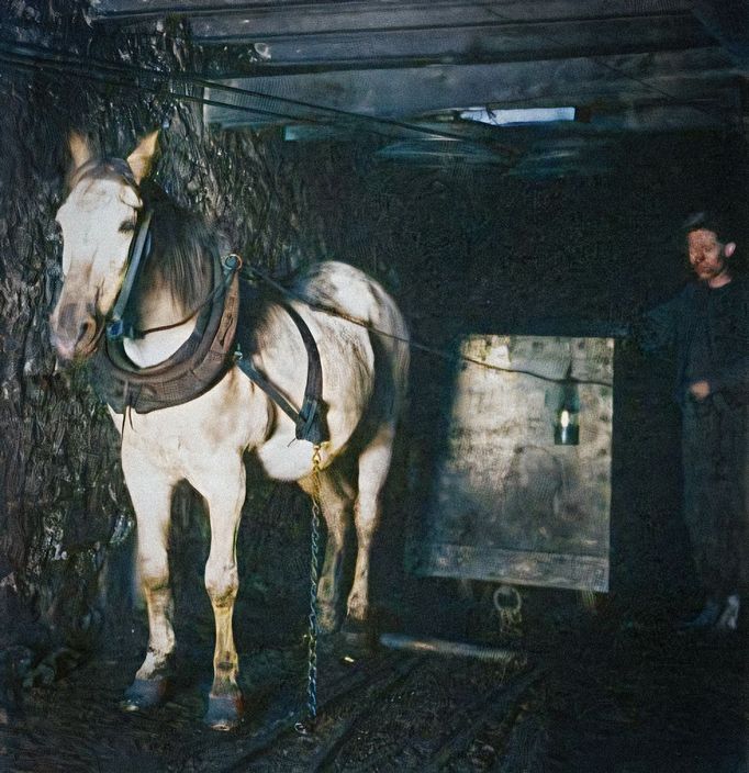 Vozíky tažené koněm v ostravském Dole Terezie (nesl také název Petr Bezruč). Nedatovaný snímek. Fotografie ze sbírek Ostravského muzea