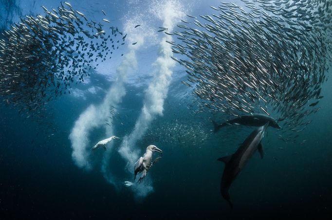 Fotosoutěž - Siena International Photo Awards 2016