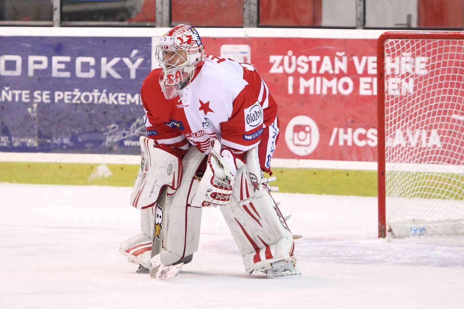Slavia v první lize: Alexandr Hylák