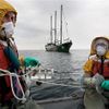 Rainbow Warrior II