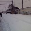 Kalamita očima čtenářů