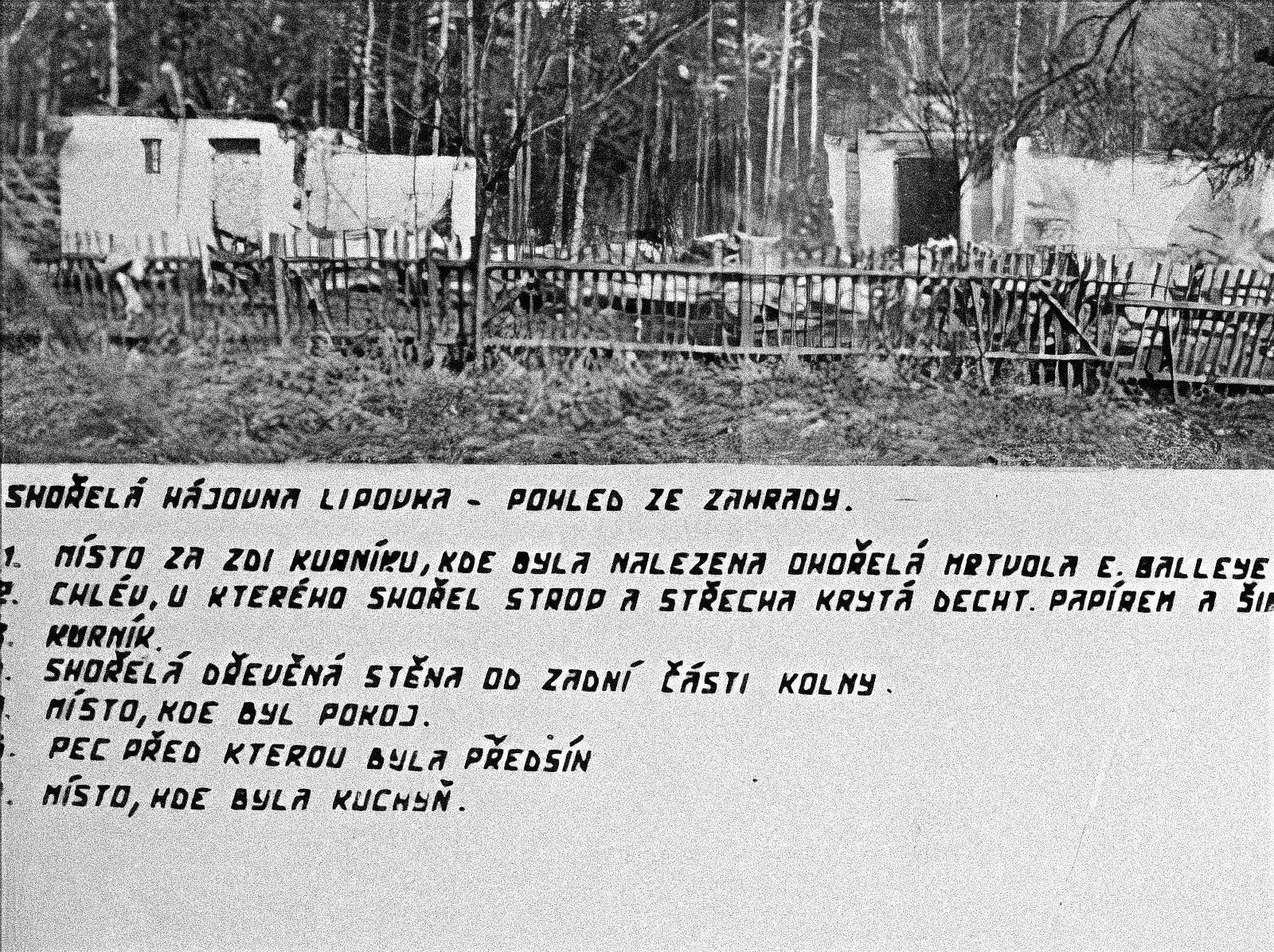 Hubert Pilčík, Sérioví vrazi, seriál, krimi, vrah, vraždy, historie, Domácí