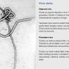 Virus Ebola