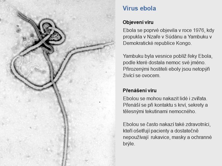 Virus Ebola