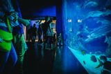 Akvárium na Sentosa Island