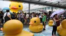 Visitors pose with ducks as thousands of others crowd the waterfront on the last day to see a giant 16.5 metre-tall duck (back L), conceived by Dutch artist Florentijn Hofman, in Hong Kong on June 9, 2013. Thousands said farewell to the giant inflatable yellow rubber duck which has captivated Hong Kong for the past month, before it heads to the United States.