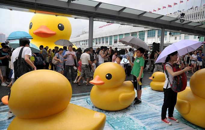 Visitors pose with ducks as thousands of others crowd the waterfront on the last day to see a giant 16.5 metre-tall duck (back L), conceived by Dutch artist Florentijn Hofman, in Hong Kong on June 9, 2013. Thousands said farewell to the giant inflatable yellow rubber duck which has captivated Hong Kong for the past month, before it heads to the United States.