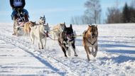 Delší nakonec měřila 348 kilometrů, kratší 215 kilometrů a byly rozděleny na etapy.