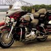 Harley 3
