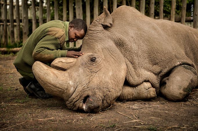 Nejlepší snímky přírody podle hlasování veřejnosti, Wildlife Photographer of the Year