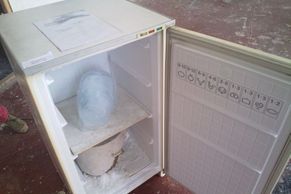 Úřad vlády zasáhl. Hlava Klause z ledu nesmí na výstavu