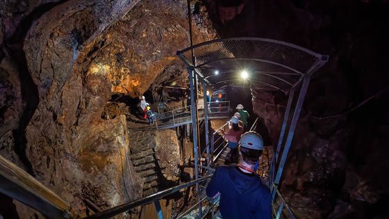 Do hlubin, kde vládne stín. Ve štolách u Zlatých Hor nacházeli horníci zlato i zmar