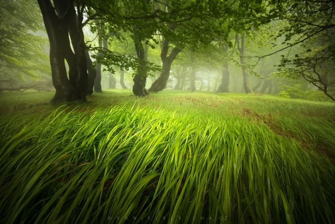 Daniel Řeřicha: krajinářská fotografie