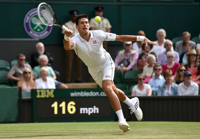 Wimbledon 2014: Štěpánek - Djokovič